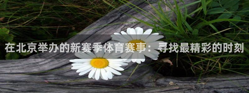 在北京举办的新赛季体育赛事：寻找最精彩的时刻