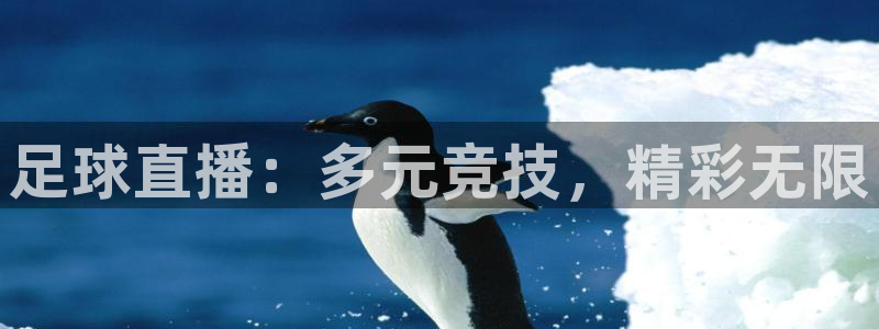 足球直播：多元竞技，精彩无限