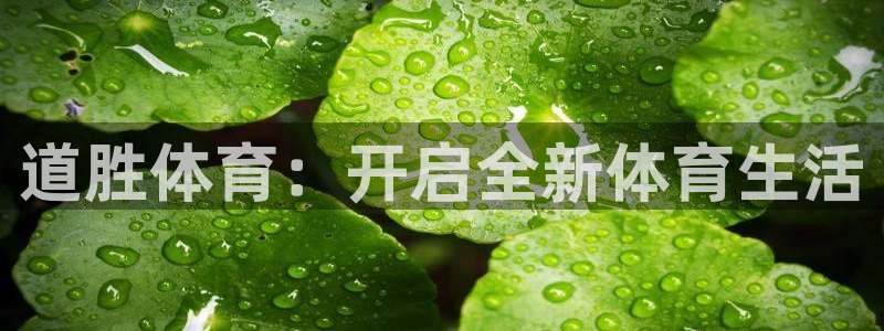 道胜体育：开启全新体育生活
