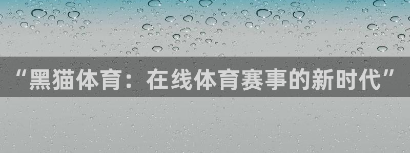 “黑猫体育：在线体育赛事的新时代”