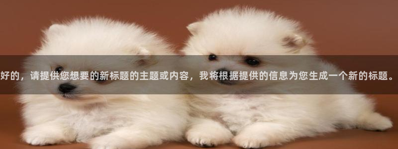 好的，请提供您想要的新标题的主题或内容，我将根据提供的信息为您生成一个新的标题。