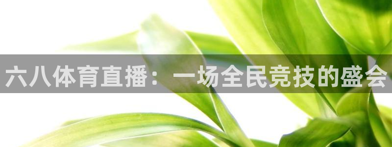 六八体育直播：一场全民竞技的盛会