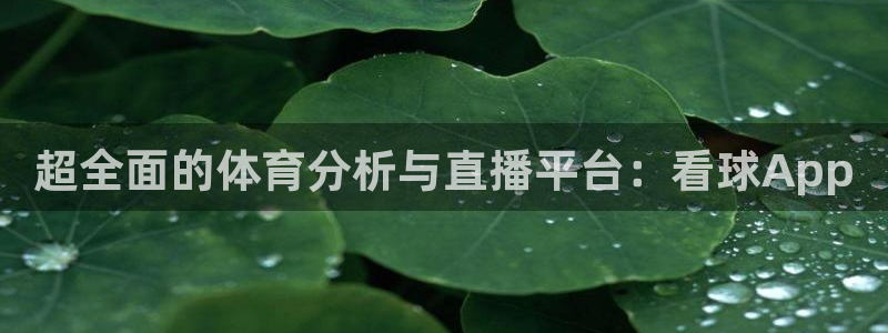 超全面的体育分析与直播平台：看球App