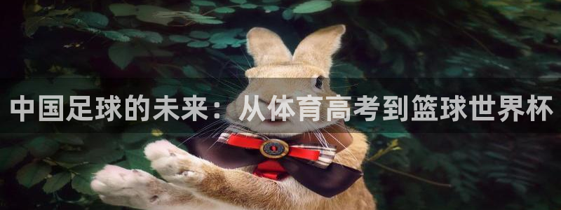 必一体育运动app：中国足球的未来：从体育高考到篮球世界杯