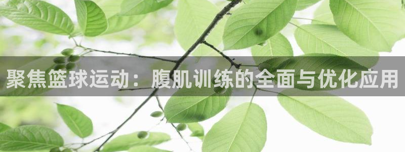 必一运动有哪些热门产品：聚焦篮球运动：腹肌训练的全面与优化应用