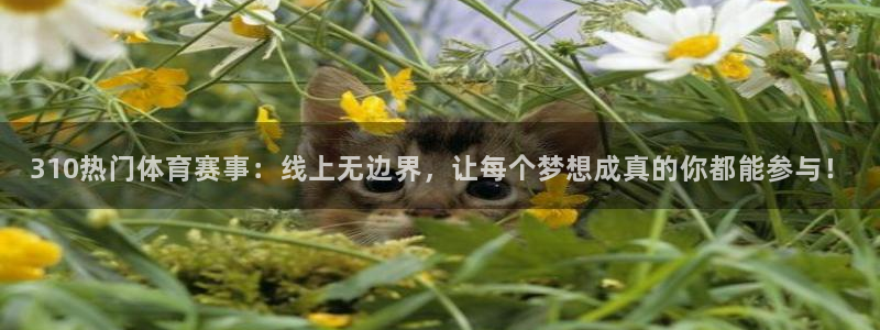 bsports官网 必一运动：310热门体育赛事：线上无边界，让每个梦想成真的你都能参与！